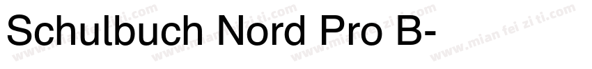 Schulbuch Nord Pro B字体转换